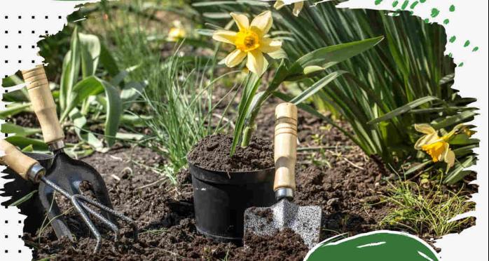 Gardening For Beginners: How To Start Your First Garden From Scratch ...